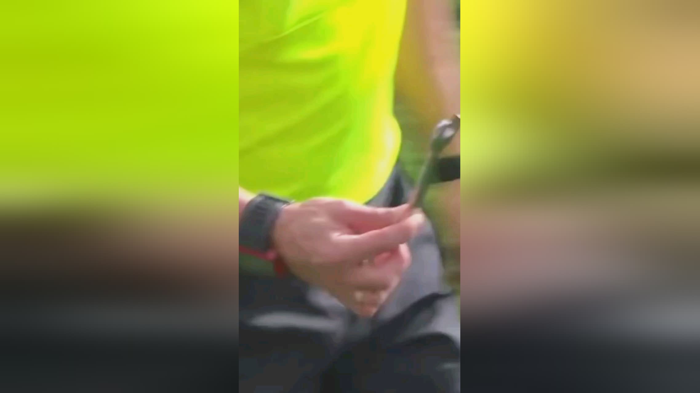 动项目上